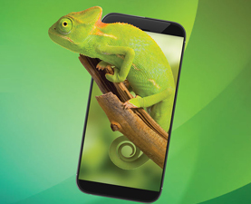 乐动官方网站（China）在线/注册/登陆/官网